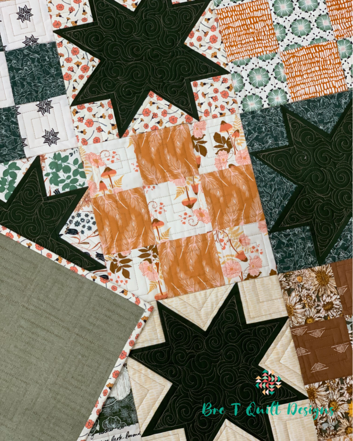 The Picnic Quilt Art Gallery Fabrics